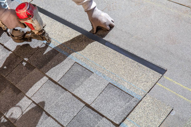 Best Roof Maintenance Services  in Sheffield Lake, OH